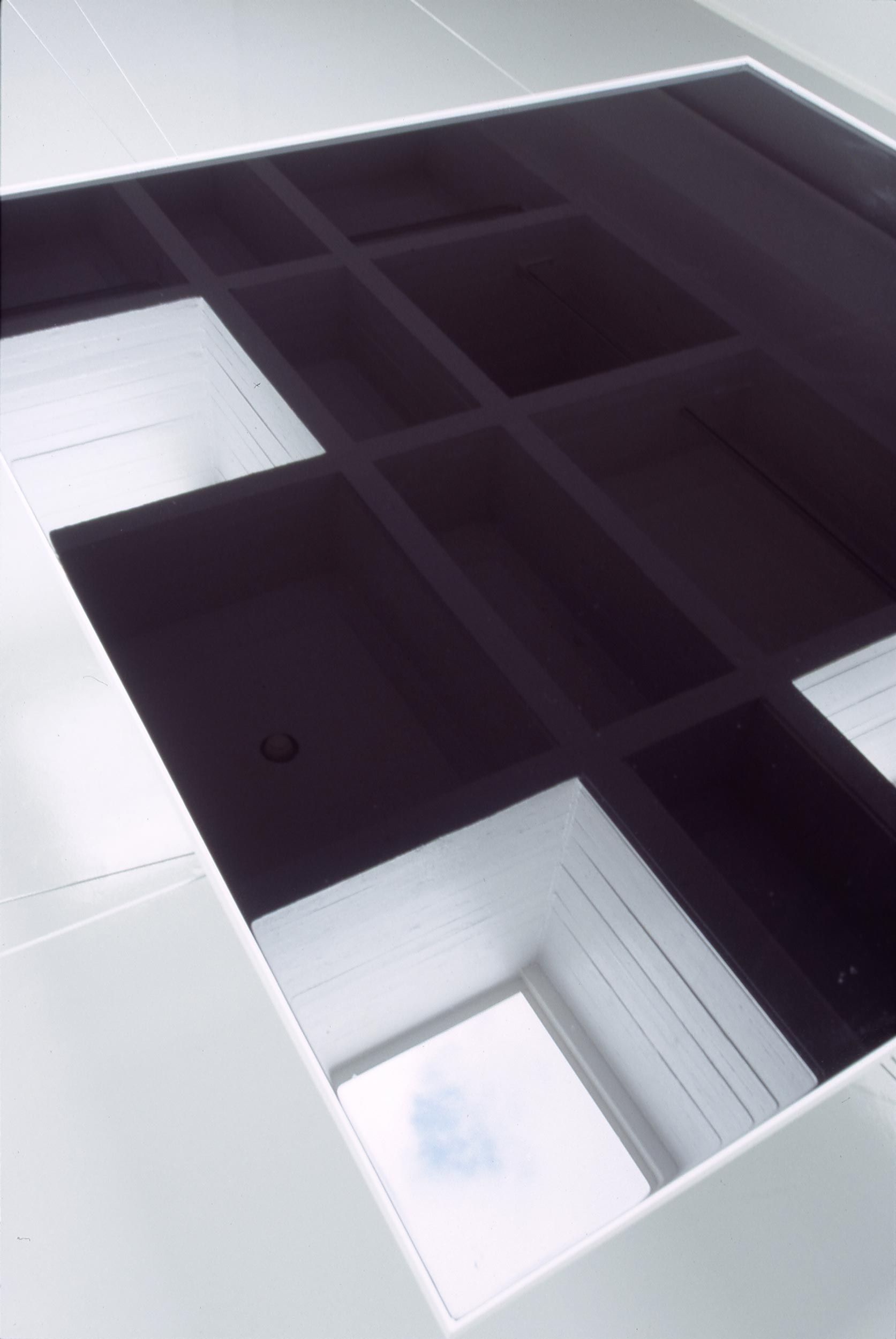 Untitled Oil Installation: close-up from above
