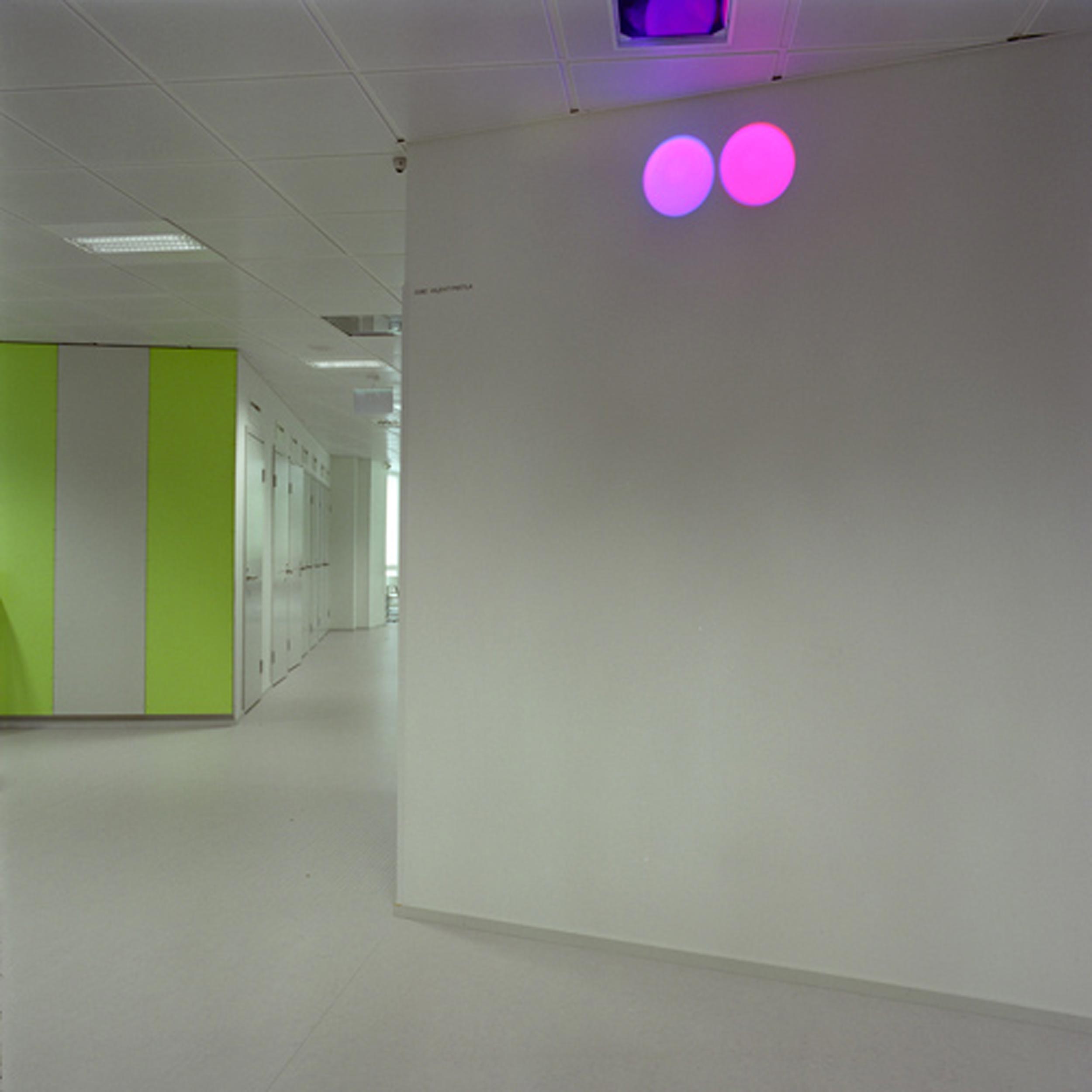 Pair of purple and pink spots on white wall
