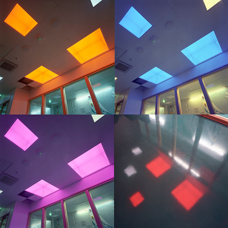Grid of four equally sized images of artwork in yellow, blue, pink and red color